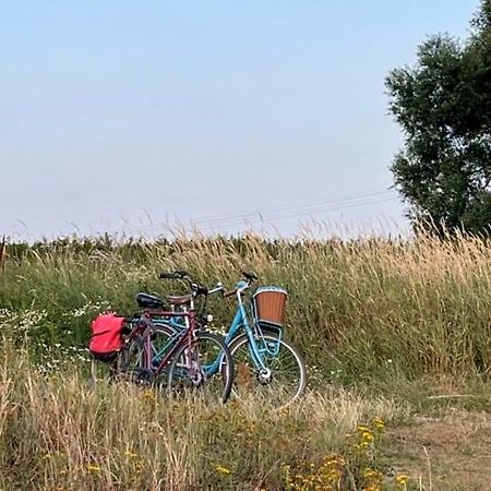 Lwb Ferienwohnung "Auszeit Im Denkmal" Wittenberg Eksteriør bilde